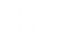 Pink Elephant-logo