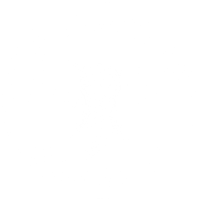 Pink Elephant R&B Band